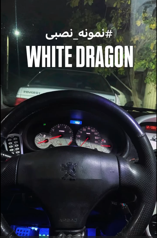صفحه کیلومتر (پژو 206) مدل White Dragon